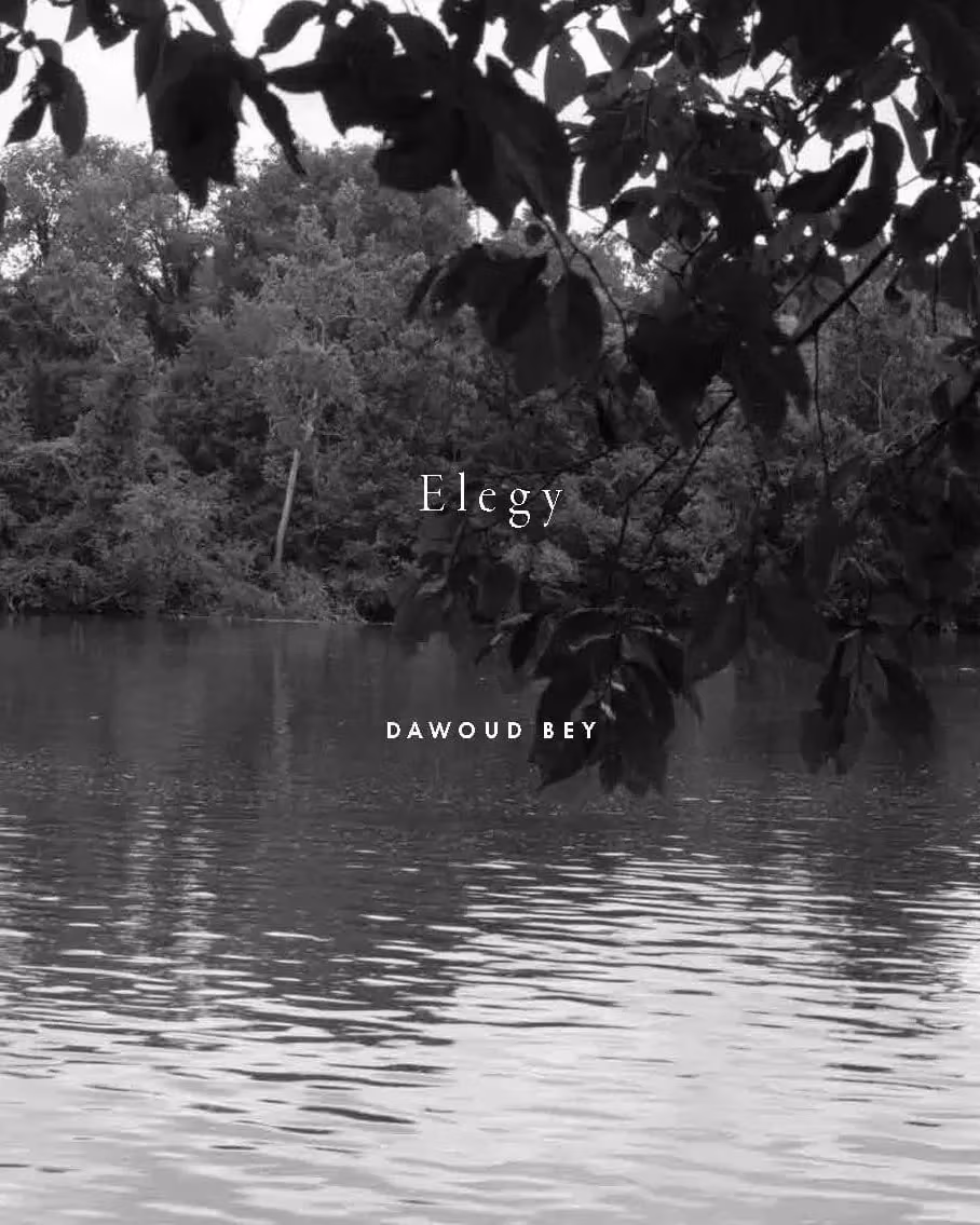 a black and white image of a tree branch hanging over a lake.