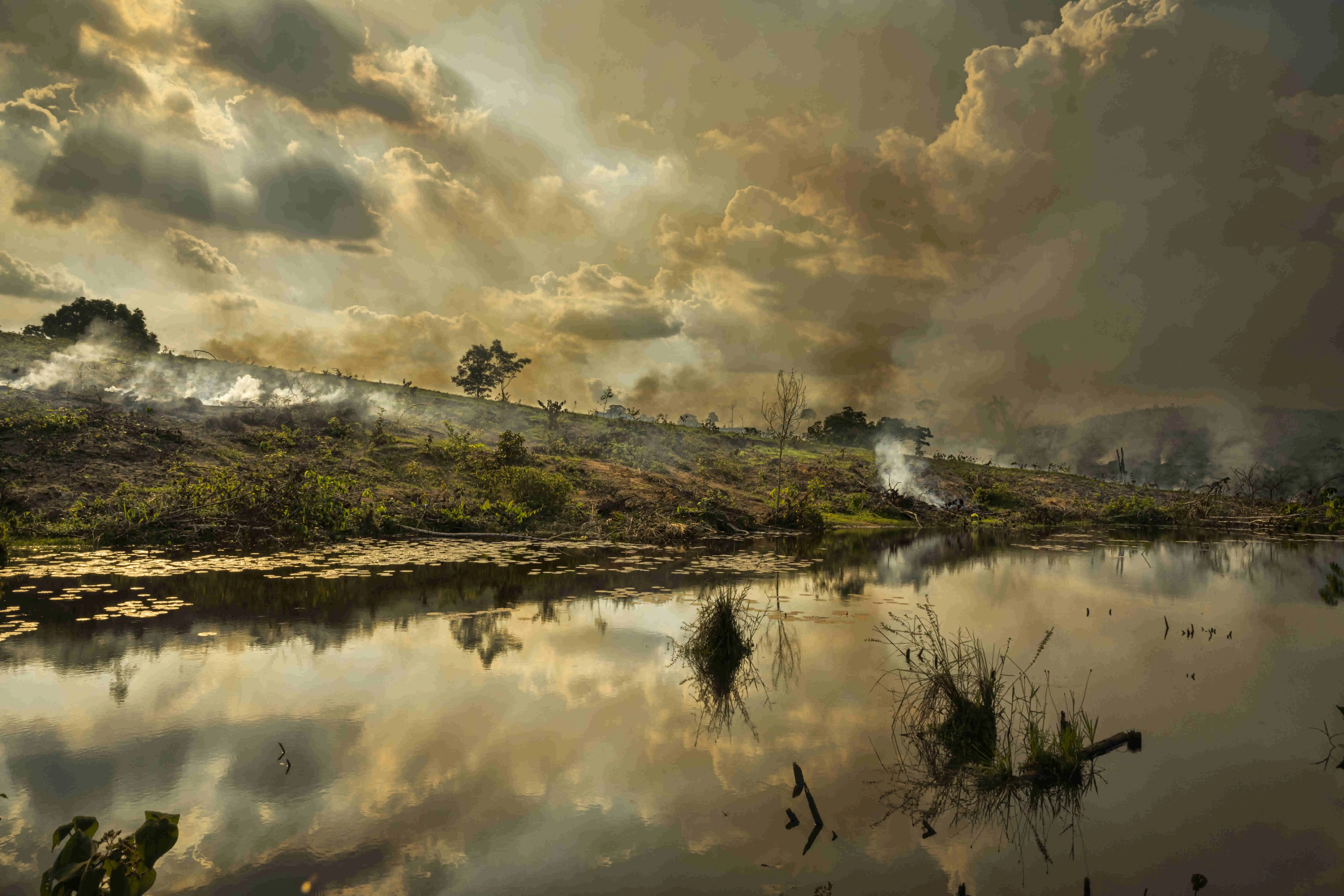 Fires burn along the Trans-Amazonian Highway in Brazil’s Amazonas state, in September 2021. Deforestation continues at extraordinary rates across the Amazon, from meat producers and cattle ranchers who clear the land and illegal mining.
