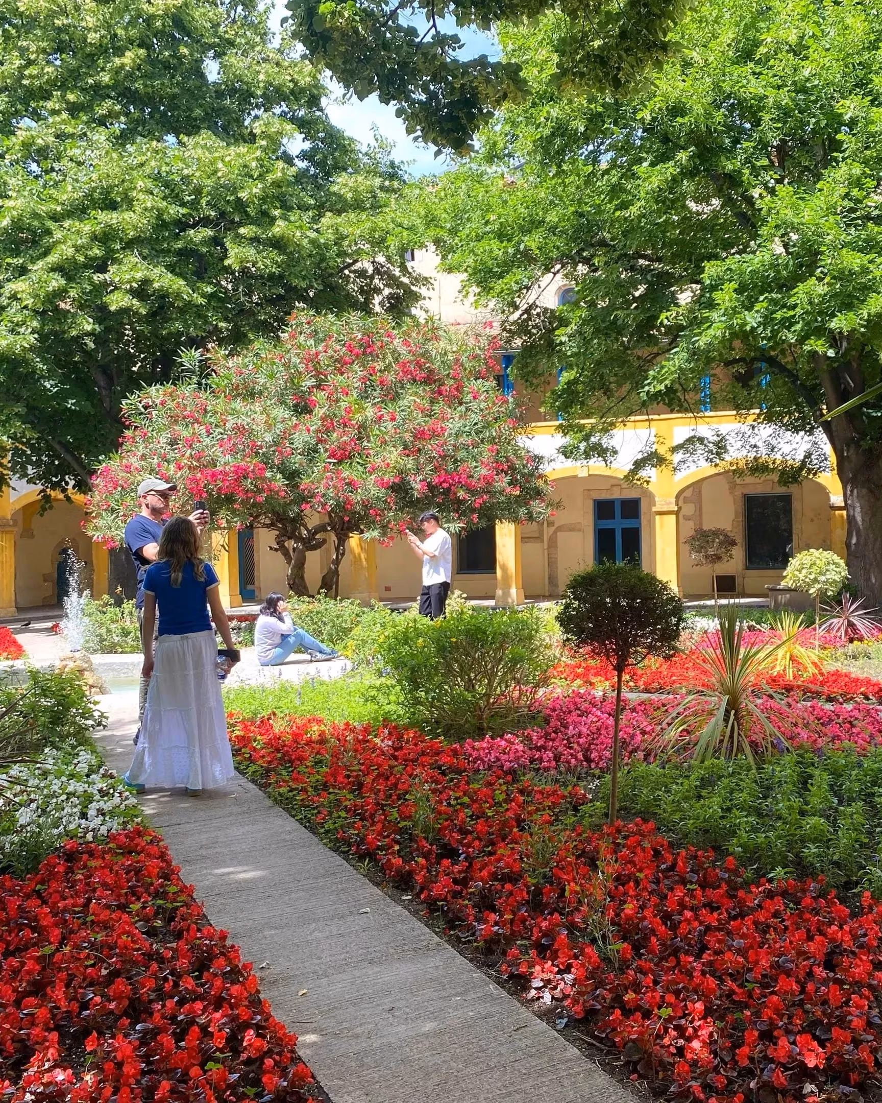 Beautiful verdant and lush gardens in the south of Frances, rows of vibrant pink and red flowers in the foreground.