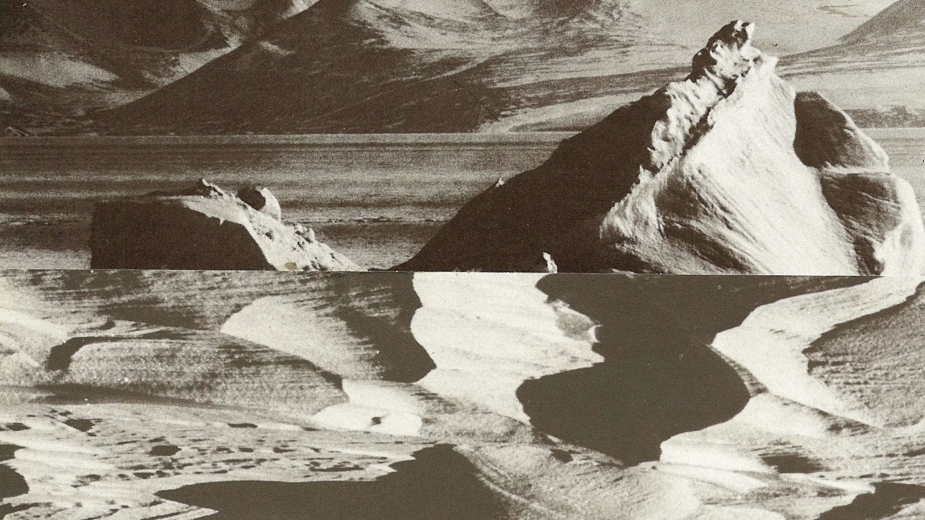 Black and white textured photograph of a mountainous landscape