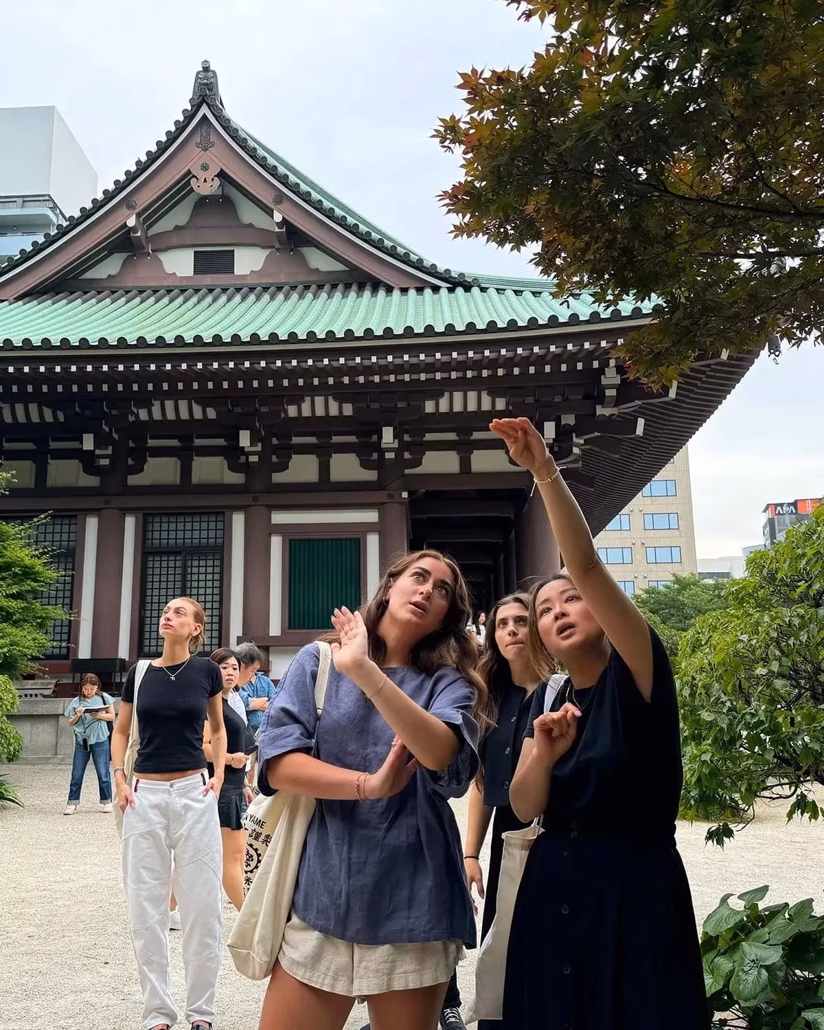 Students pointing up and looking in the sky with a traditional Japanese minka houses in the background among verdant trees and bushes. 