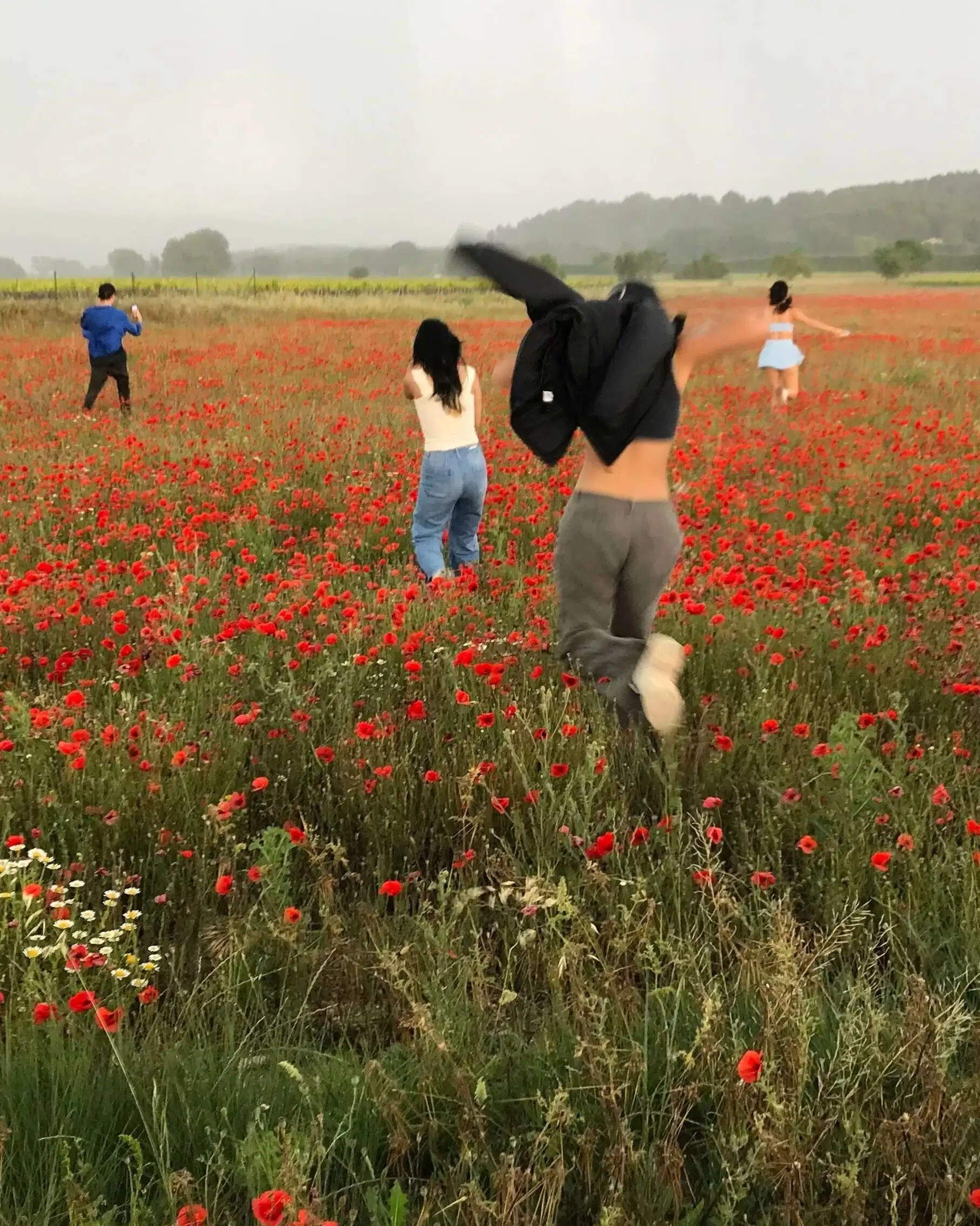 Four people gleefully run across a vast poppy field in bloom, all with their backs turned to the camera.