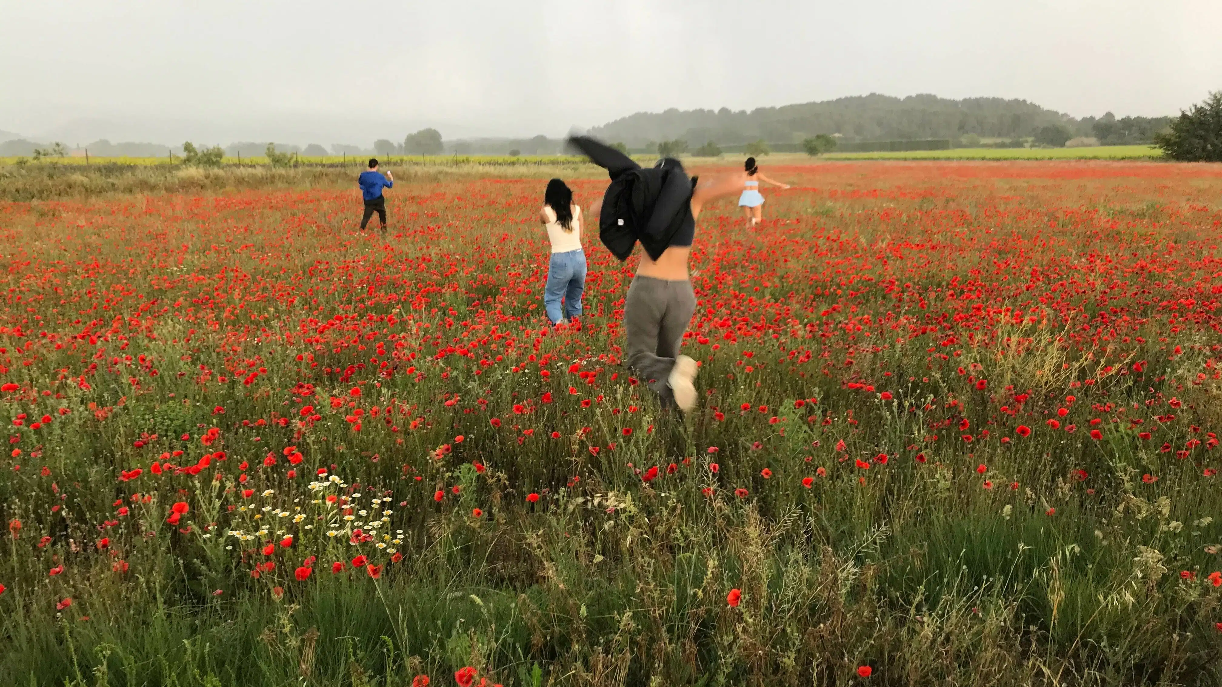 Four people gleefully run across a vast poppy field in bloom, all with their backs turned to the camera.