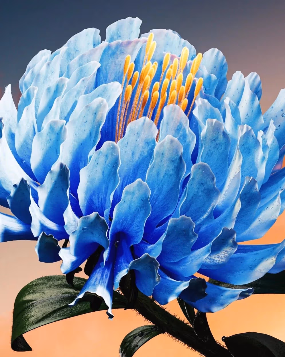 A blue flower surrounded by vibrant yellow petals, showcasing a striking contrast in colors.