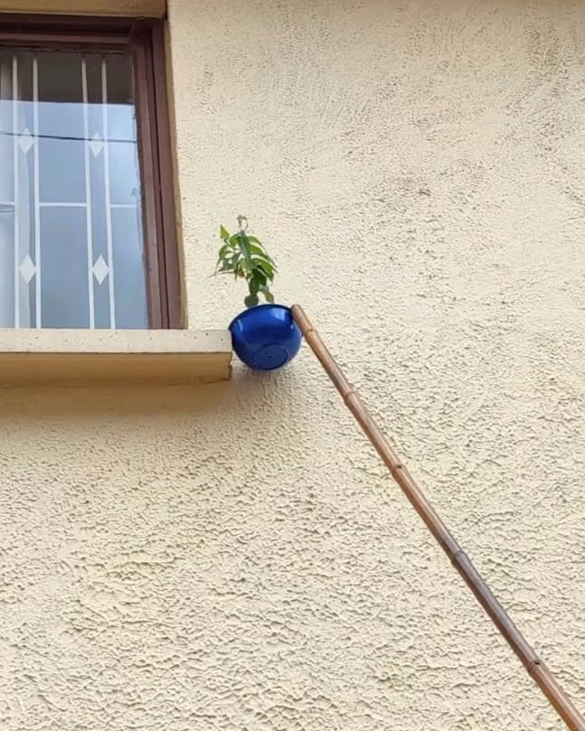 A picture of a blue planter propped up between a window sill, a beige wall, and a bamboo stick.