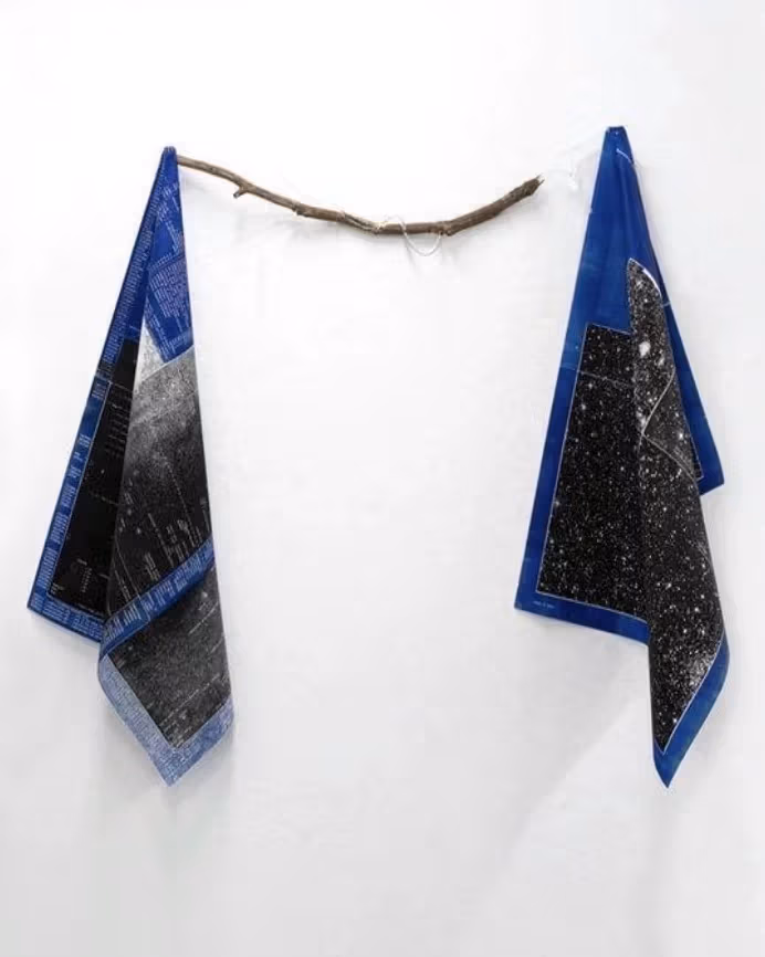 Two blue and black squares of fabric hanging off of a branch.