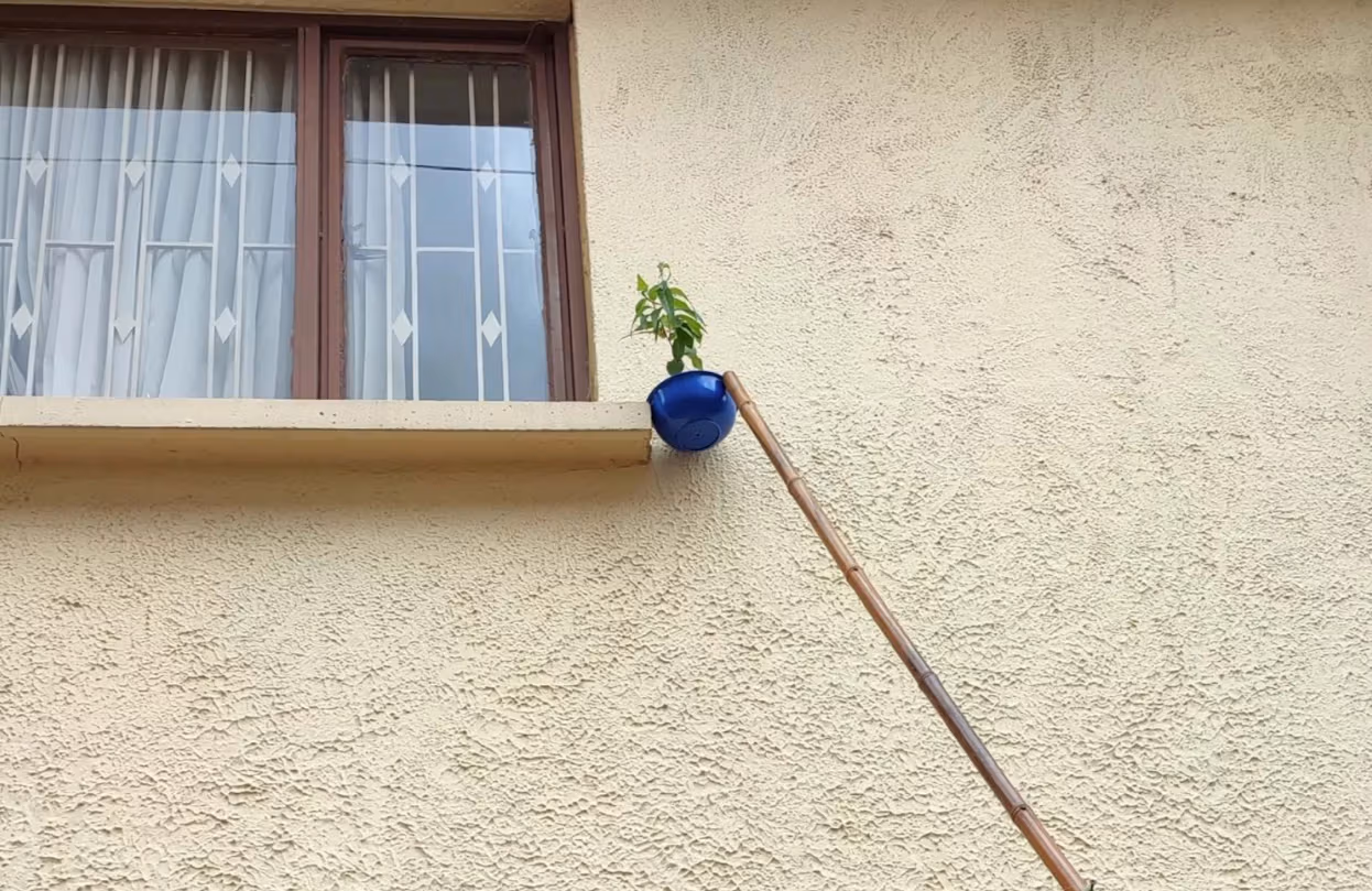 A picture of a blue planter propped up between a window sill, a beige wall, and a bamboo stick.