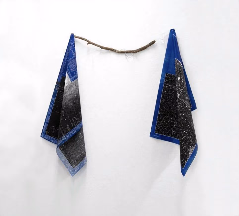 Two blue and black squares of fabric hanging off of a branch.