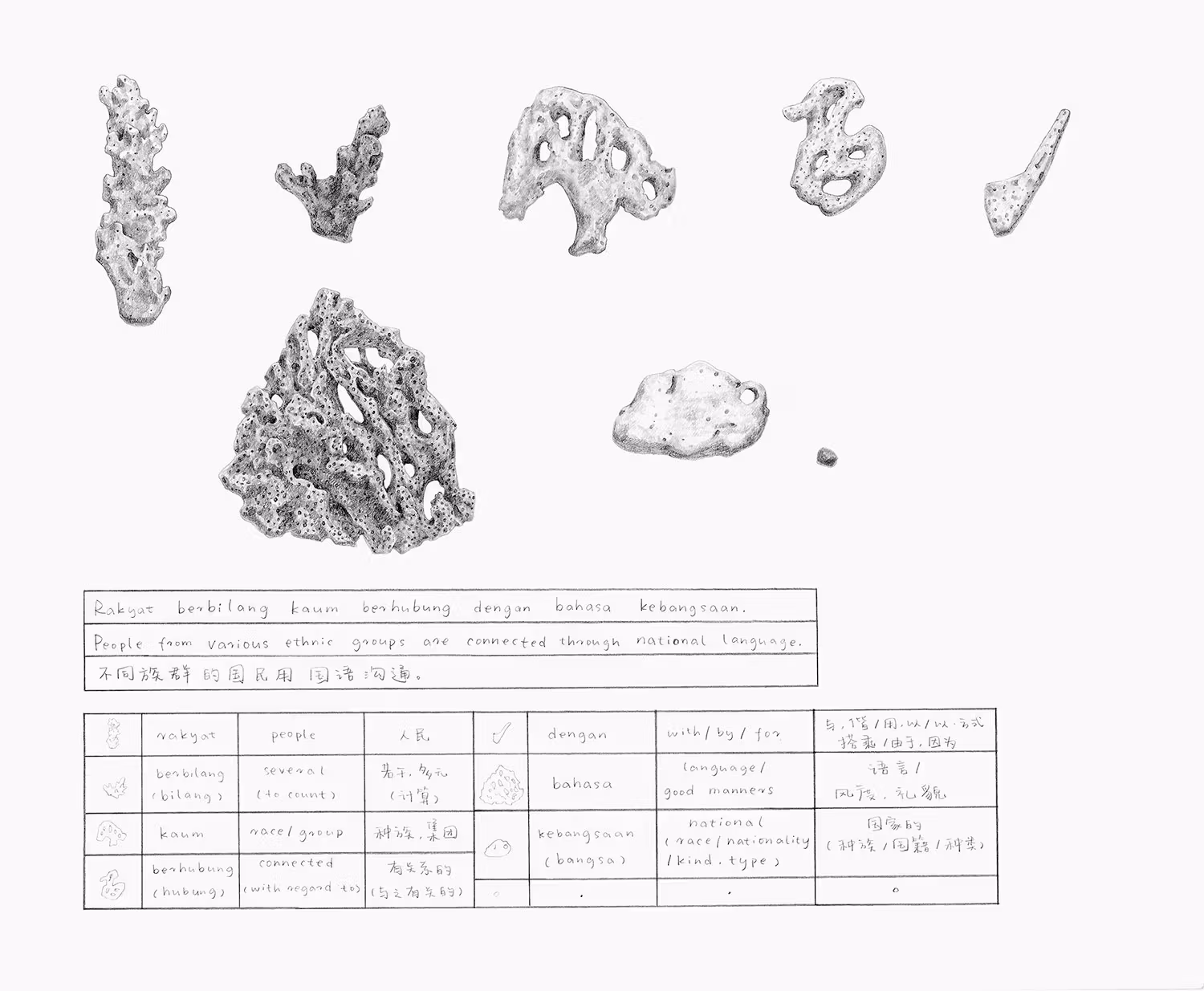 An illustration in black and white of various coral with a Coral Dictionary under them